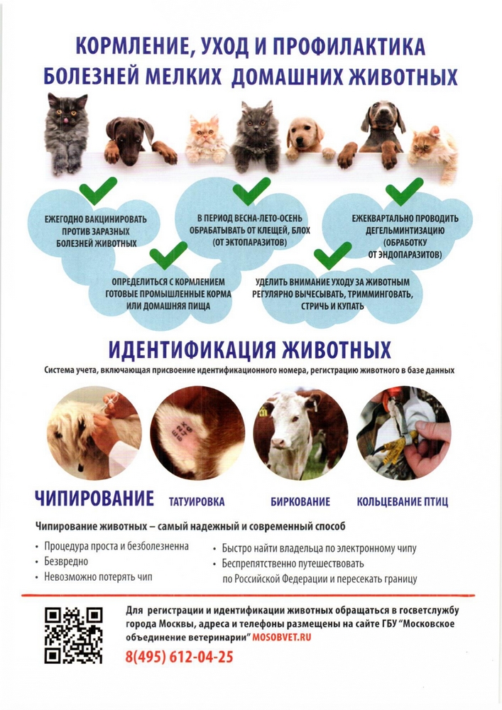 правила вакцинации животных